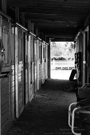 Stables
