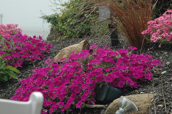 DSC_2467.jpg