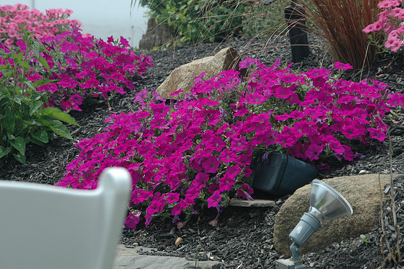 DSC_2468.jpg