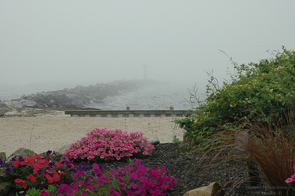 DSC_2490.jpg