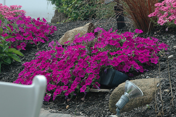 DSC_2464.jpg